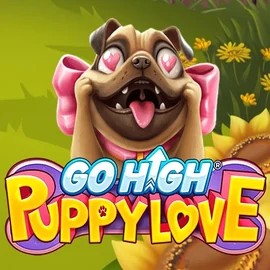 Play Go High Puppy Love slot by RubyPlay on glorion-norway.com